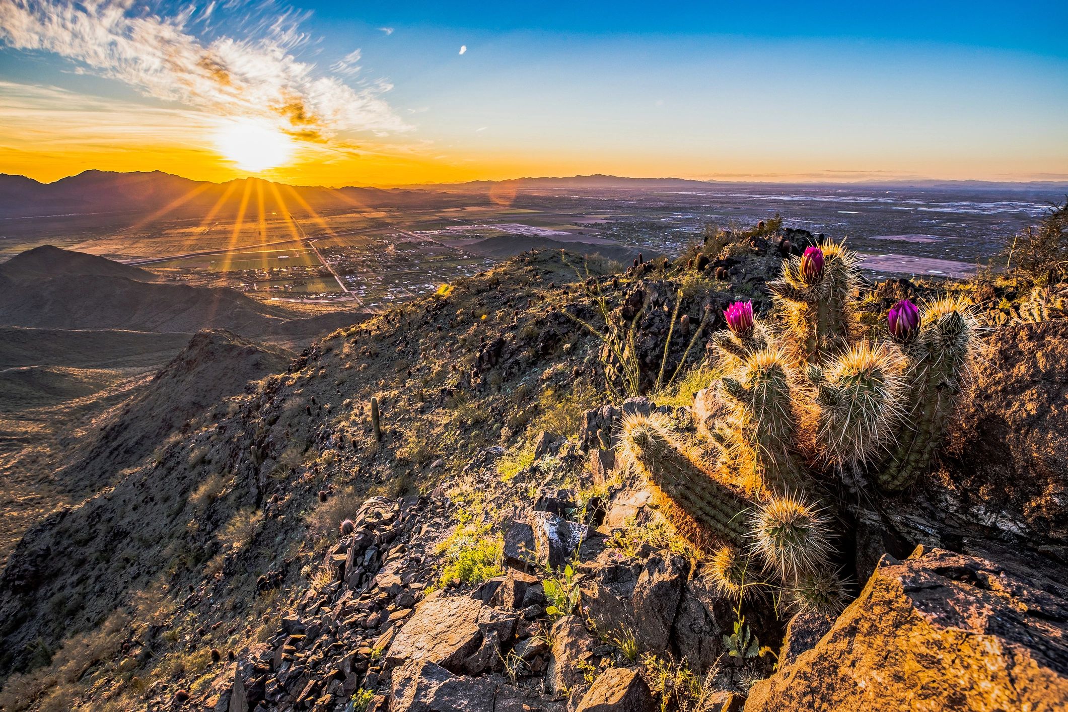 Arizona desert landscape near Phoenix, representing East Valley service area