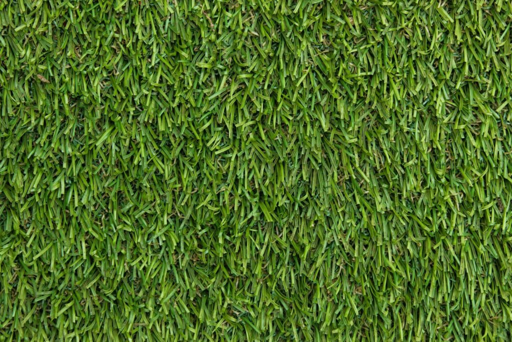 Close up of synthetic green grass texture